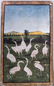 Hegre i et felt, ett av et sett med spillekort som viser scener med høvisk hauking, Upper Rhein-området, ca. 1440-45 (penn og blekk, wc) (se også 88300-04) av Konrad Witz