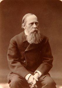 Mikhail Saltykov-Shchedrin, russisk forfatter, 1880-tallet av Konstantin Schapiro