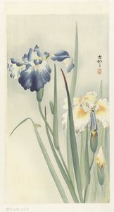 Iriser av Ohara Koson