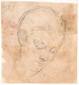 Kunstnerens søster Elizabeth. 3/4 profil til høyre av Kristian Zahrtmann