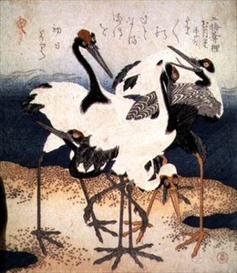 Fem traner med hvite fjær i forskjellige positurer på et sandspitt, fra Three Petals-serien, ca. 1816 (blekk) av Kubo Shumman