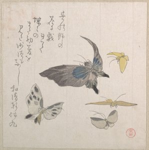  av Kubo Shunman