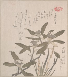  av Kubo Shunman