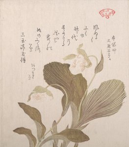 Hotei blomster, 1800-tallet. av Kubo Shunman