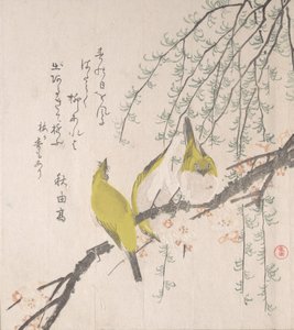 Japanske hvite øyne med plommetre og pil..., ca. 1810. av Kubo Shunman