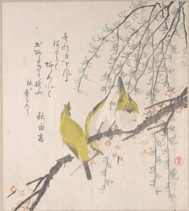  av Kubo Shunman