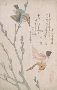 Kingfishers and Pussy-willow, 1800-tallet.