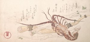 Hummer og grønnsaker, 1800-tallet.