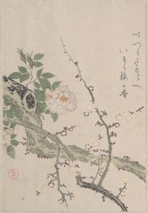  av Kubo Shunman