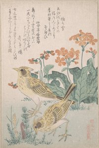  av Kubo Shunman