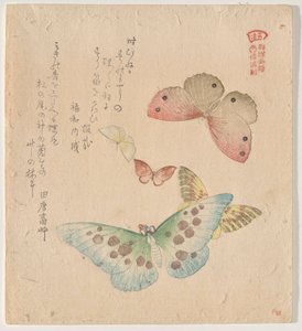 Malerhåndboken til Flock of Butterflies (Guncho? Gafu) av Kubo Shunman