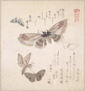  av Kubo Shunman