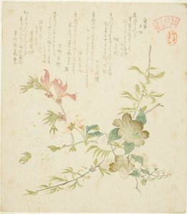 Ulike vårblomster, fra serien "Vårplanter og trær for Kasumi Poetry Circle of the Yomo Group (Yomogawa Kasumi-ren haru no kusaki no uchi)" av Kubo Shunman