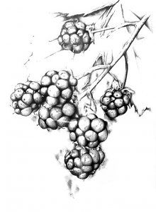  av Kulik