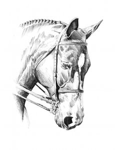  av Kulik