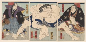 sumo kamp