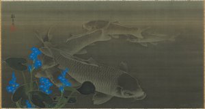 Karpe, Edo-periode, tidlig 1800-tall. av Kuroda Toko