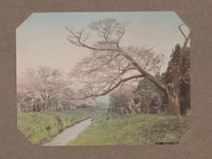 Mennesker og kirsebærblomstrer på hver side av en bekk i Koganei, Tokyo, Japan av Kusakabe Kimbei