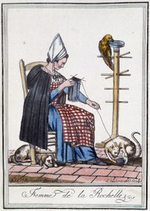 Kvinne fra La Rochelle strikker med en hund, en papegøye og en katt som leker med ullkulen.