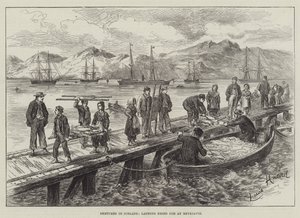 Skisser på Island, landing av tørket torsk i Reykjavik