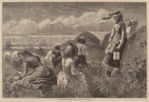 Å samle bær av Lagarde after Winslow Homer