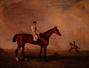 Bay veddeløpshest med jockey på en veddeløpsbane