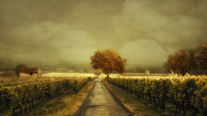 Høstveien gjennom vingården av Lars van de Goor †