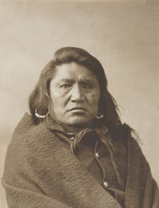 Døv okse, ca. 1880.