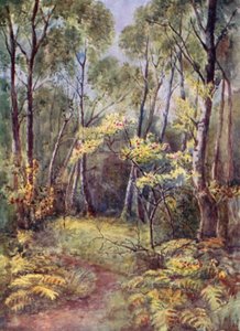 I Leigh Woods