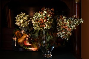  av Laura Malaterra