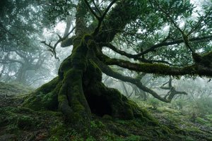 Glemt land, 2025 (bilde)