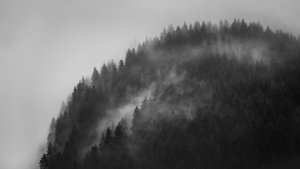 Greenwitch Way, 2022 (bilde)