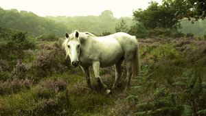 I mørket, 2023 (bilde) av Lee Cooper