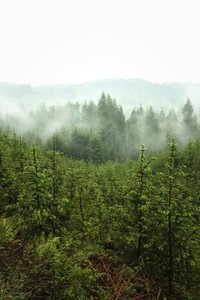 Vårdybder, 2024 (bilde)