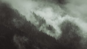 Flokete, 2022 (bilde)