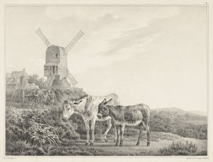 To esler i et landskap nær en mølle Seks steintegninger av L. de Koningh (serietittel) av Leendert de Koningh