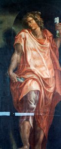 Janus