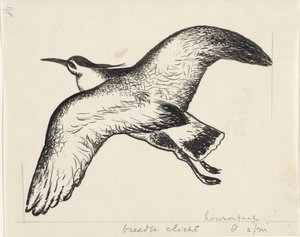 Flyvende fugl av Leo Gestel