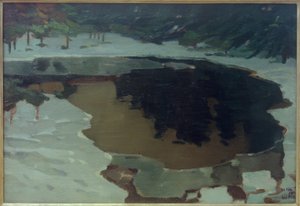 Moorsee im Winter av Leo Putz