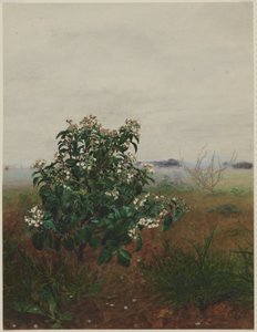  av Léon Bonvin