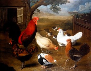 En gårdsscene med en hane (olje på lerret) av Leonard Hubner