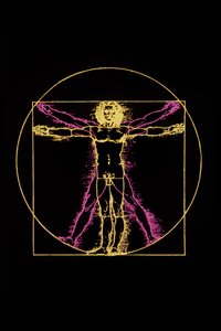 Vitruvian Man av Leonardo da Vinci, ca. 1970 av Leonardo da (after) Vinci