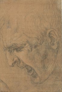 Head of a screaming man av Leonardo da (follower of) Vinci