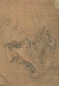 Hodet til en skrikende mann av Leonardo da Vinci (follower of)