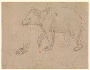 En bjørn på tur av Leonardo da Vinci