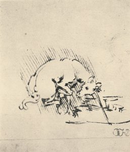 En enhjørning dypper hornet sitt i vannet, c1480 1945 av Leonardo da Vinci
