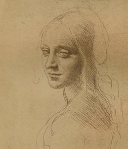 Et kvinnelig hode, c1472-c1519 1883, av Leonardo da Vinci
