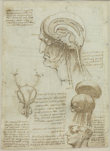 Et manuskriptark med anatomiske tegninger og notater, 1506-1508. av Leonardo da Vinci