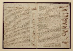 En side fra Codex Leicester, 1508-12 (sepia blekk på linpapir) av Leonardo da Vinci