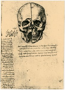 Anatomisk skisse av en menneskeskalle, c1472-1519 av Leonardo da Vinci